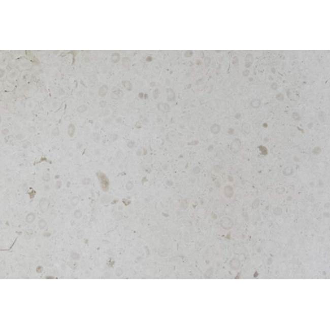 COCOON by COCOON Stone A/Primary Stone: Natural Sand